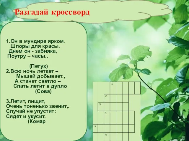 1.Он в мундире ярком. Шпоры для красы. Днем он - забияка, Поутру