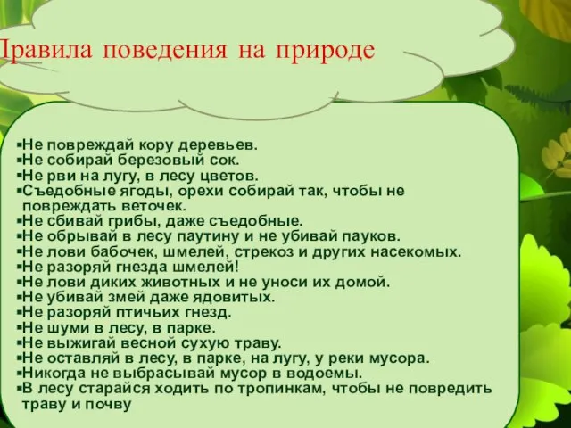 Не повреждай кору деревьев. Не собирай березовый сок. Не рви на лугу,