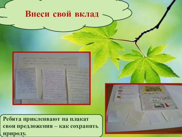 Внеси свой вклад Ребята приклеивают на плакат свои предложения – как сохранить природу.