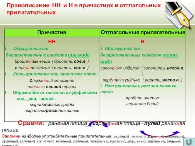 Правописание НН и Н в причастиях и отглагольных прилагательных Сравни: раненая птица