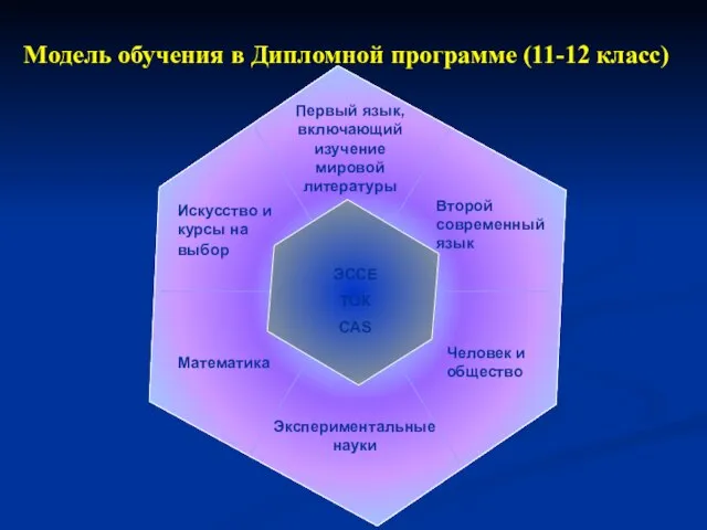 Модель обучения в Дипломной программе (11-12 класс)