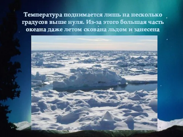 Температура поднимается лишь на несколько градусов выше нуля. Из-за этого большая часть