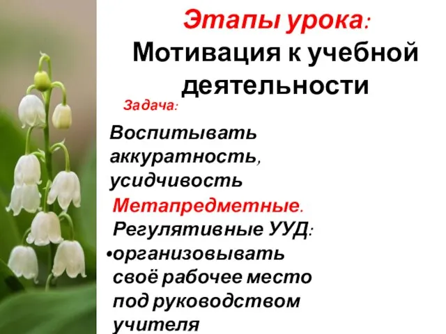 Этапы урока: Мотивация к учебной деятельности Задача: Воспитывать аккуратность, усидчивость Метапредметные. Регулятивные