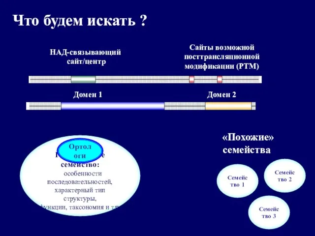 Что будем искать ? НАД-связывающий сайт/центр Сайты возможной посттрансляционной модификации (РТМ) Домен