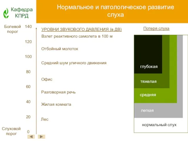 Нормальное и патологическое развитие слуха Кафедра КПРД УРОВНИ ЗВУКОВОГО ДАВЛЕНИЯ (в ДВ)