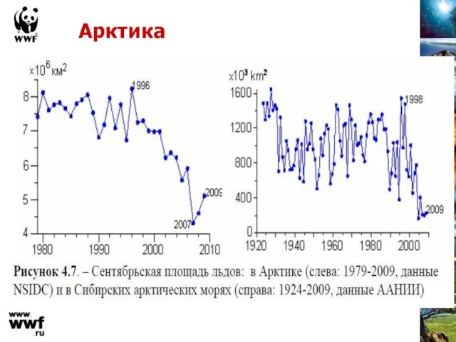 Арктика