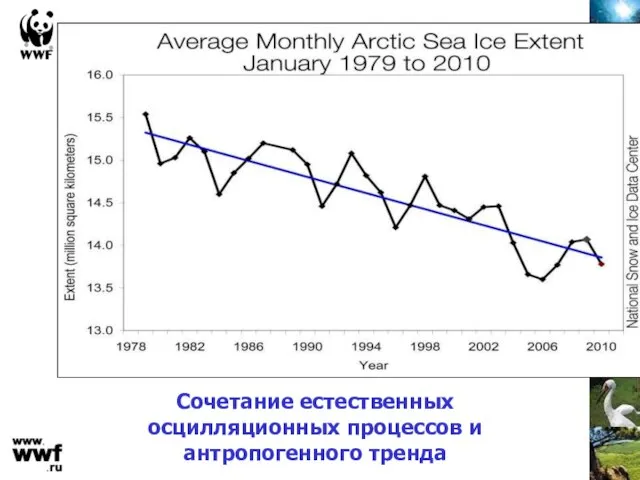 Сочетание естественных осцилляционных процессов и антропогенного тренда