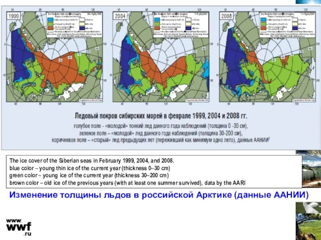 Изменение толщины льдов в российской Арктике (данные ААНИИ) The ice cover of