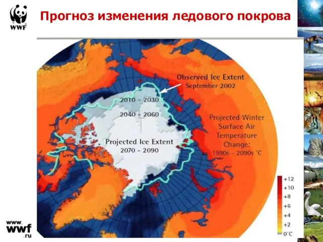 Прогноз изменения ледового покрова