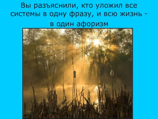 Вы разъяснили, кто уложил все системы в одну фразу, и всю жизнь - в один афоризм