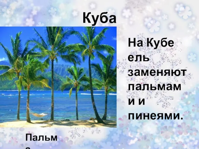 Куба Пальма На Кубе ель заменяют пальмами и пинеями.