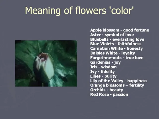 Meaning of flowers 'color' Apple blossom - good fortune Aster - symbol