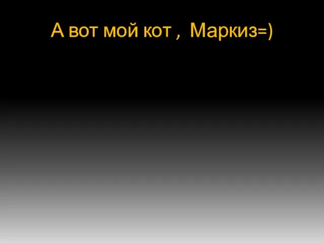 А вот мой кот , Маркиз=)