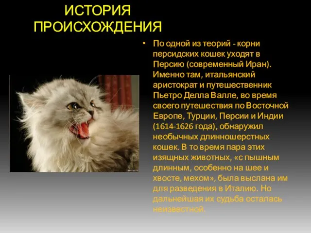 ИСТОРИЯ ПРОИСХОЖДЕНИЯ По одной из теорий - корни персидских кошек уходят в