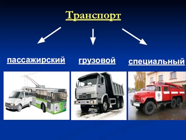 Транспорт пассажирский грузовой специальный