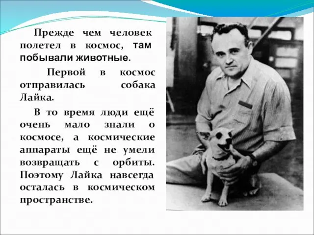 Прежде чем человек полетел в космос, там побывали животные. Первой в космос