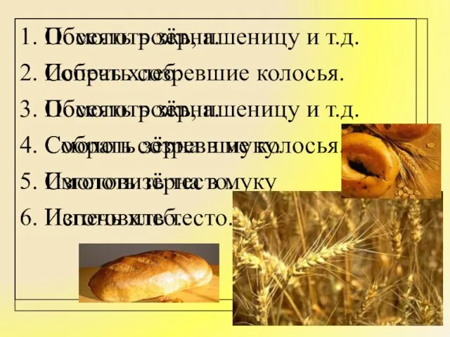Обмолоть зёрна. Испечь хлеб. Посеять рожь, пшеницу и т.д. Собрать созревшие колосья.