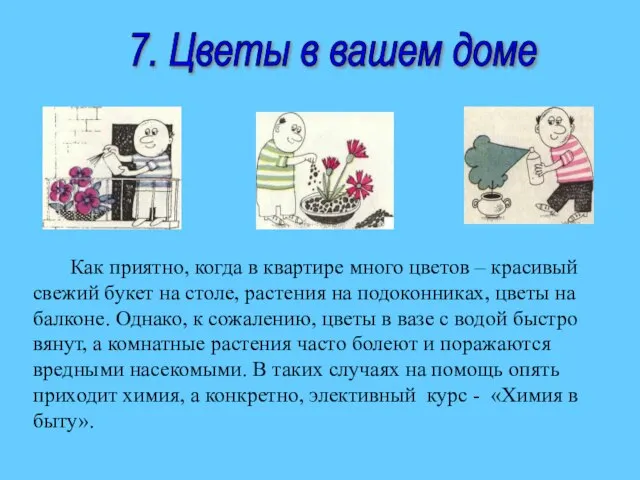 7. Цветы в вашем доме Как приятно, когда в квартире много цветов