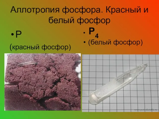 Аллотропия фосфора. Красный и белый фосфор Р (красный фосфор) (белый фосфор) Р4