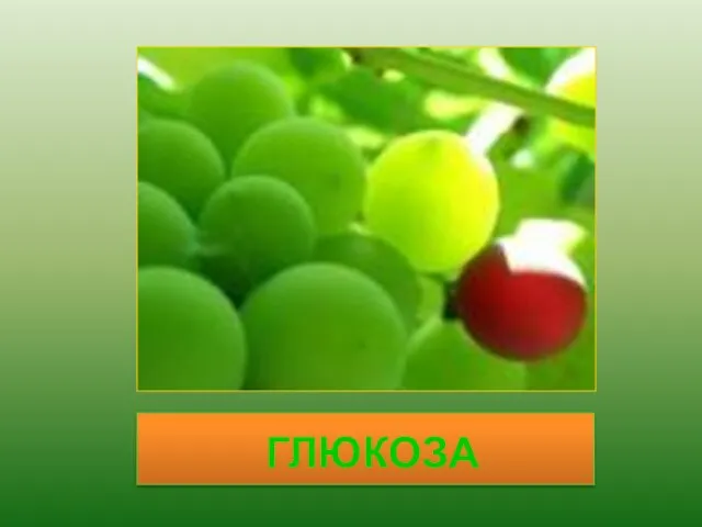 ГЛЮКОЗА