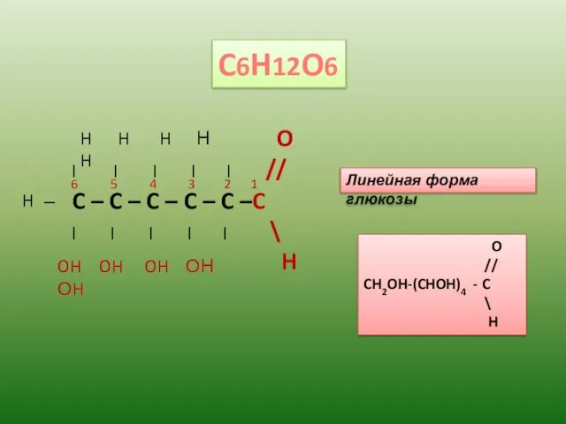 C6H12O6 C – C – C – C – C –C |