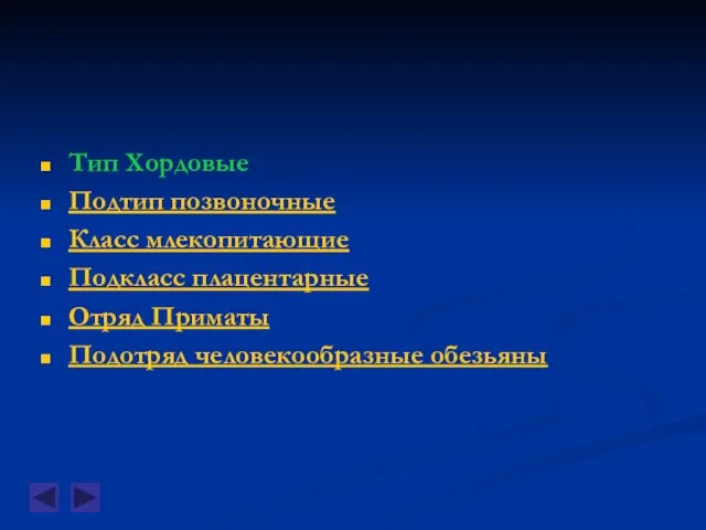 Тип Хордовые Подтип позвоночные Класс млекопитающие Подкласс плацентарные Отряд Приматы Подотряд человекообразные обезьяны