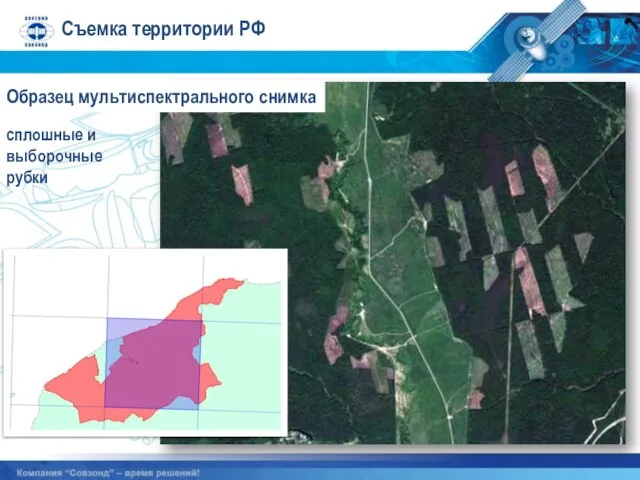 сплошные и выборочные рубки Образец мультиспектрального снимка Съемка территории РФ