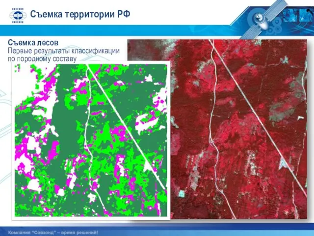 Съемка территории РФ Съемка лесов Первые результаты классификации по породному составу