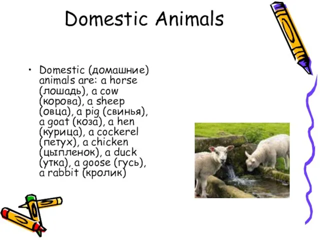 Domestic Animals Domestic (домашние) animals are: a horse (лошадь), a cow (корова),