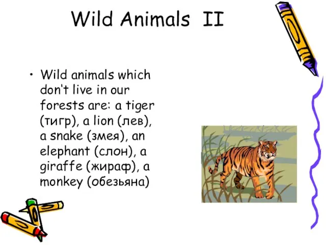 Wild Animals II Wild animals which don‘t live in our forests are: