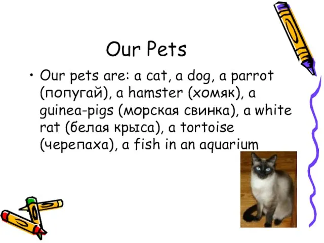 Our Pets Our pets are: a cat, a dog, a parrot (попугай),