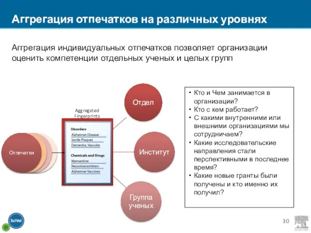 Аггрегация отпечатков на различных уровнях Аггрегация индивидуальных отпечатков позволяет организации оценить компетенции