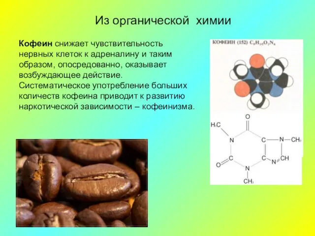 Кофеин снижает чувствительность нервных клеток к адреналину и таким образом, опосредованно, оказывает