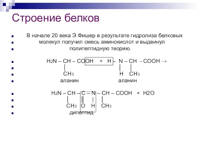 Строение белков В начале 20 века Э.Фишер в результате гидролиза белковых молекул