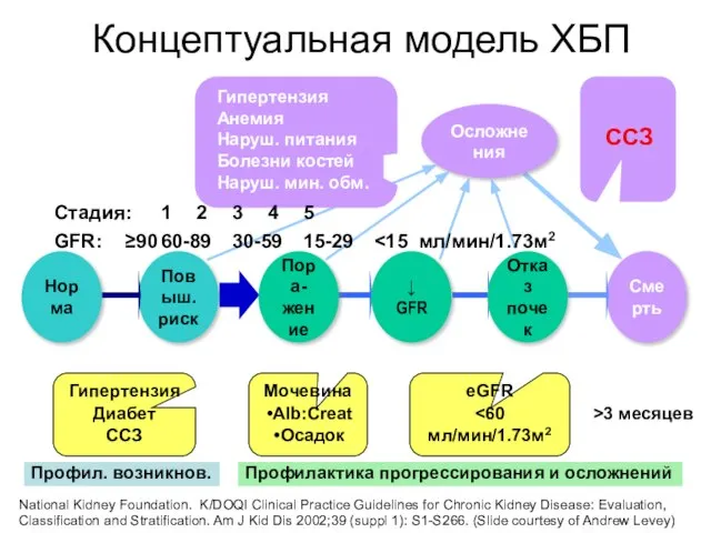 Концептуальная модель ХБП Смерть Норма Повыш. риск Пора- жение ↓ GFR National