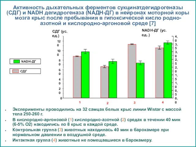 Активность дыхательных ферментов сукцинатдегидрогеназы (СДГ) и NADH дегидрогеназа (NАДН-ДГ) в нейронах моторной