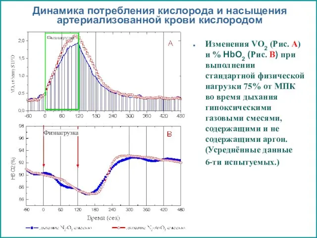 Динамика потребления кислорода и насыщения артериализованной крови кислородом Изменения VO2 (Рис. А)