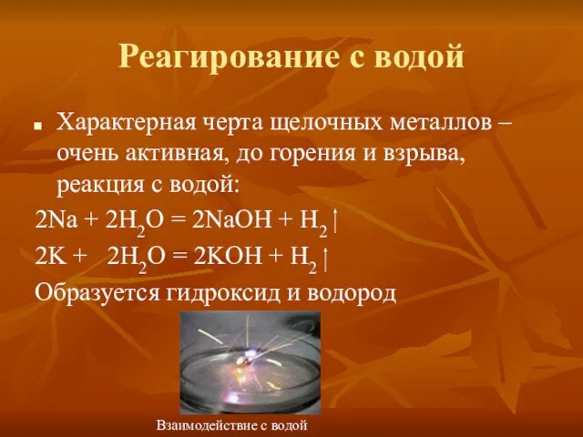 Реагирование с водой Характерная черта щелочных металлов – очень активная, до горения