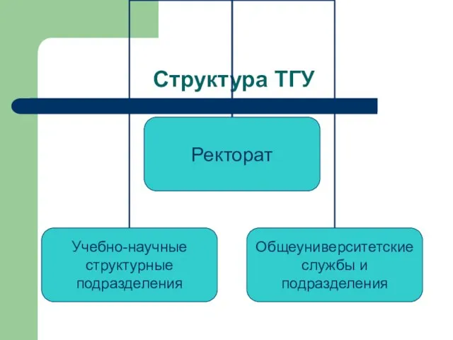 Структура ТГУ