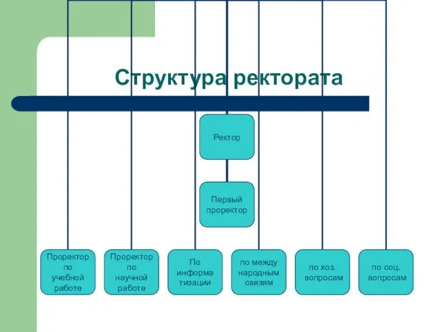 Структура ректората