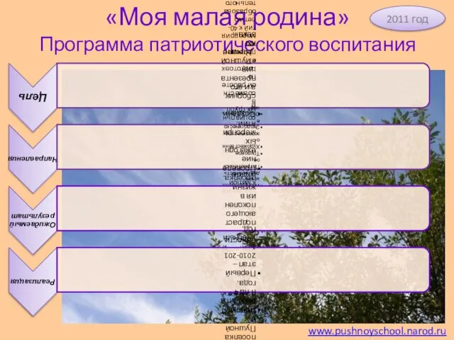 «Моя малая родина» Программа патриотического воспитания www.pushnoyschool.narod.ru 2011 год