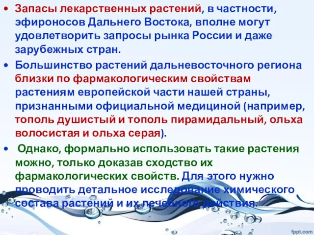 Запасы лекарственных растений, в частности, эфироносов Дальнего Востока, вполне могут удовлетворить запросы