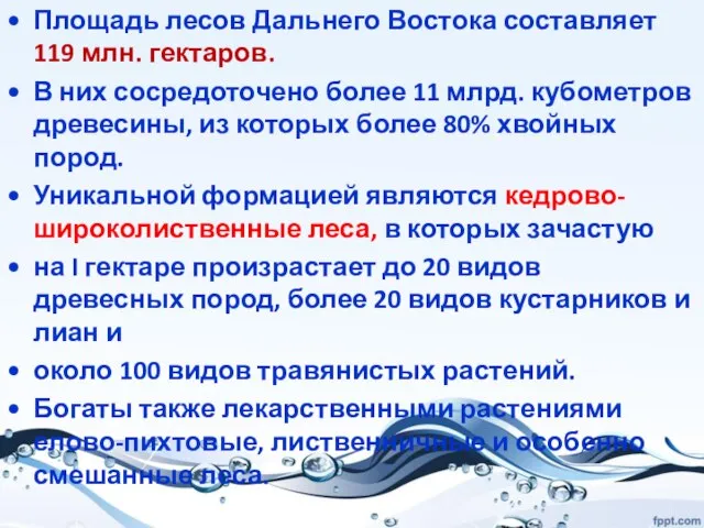 Площадь лесов Дальнего Востока составляет 119 млн. гектаров. В них сосредоточено более