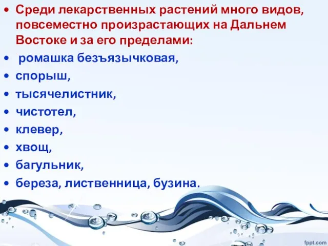 Среди лекарственных растений много видов, повсеместно произрастающих на Дальнем Востоке и за