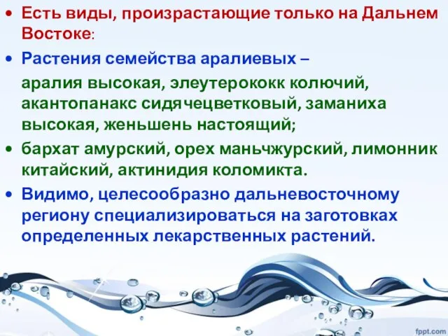 Есть виды, произрастающие только на Дальнем Востоке: Растения семейства аралиевых – аралия