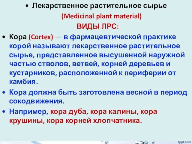 Лекарственное растительное сырье (Medicinal plant material) ВИДЫ ЛРС: Кора (Cortex) — в