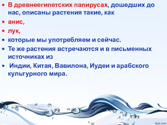 В древнеегипетских папирусах, дошедших до нас, описаны растения такие, как анис, лук,