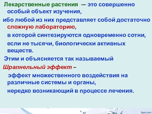 Лекарственные растения — это совершенно особый объект изучения, ибо любой из них