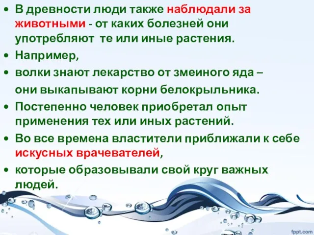 В древности люди также наблюдали за животными - от каких болезней они