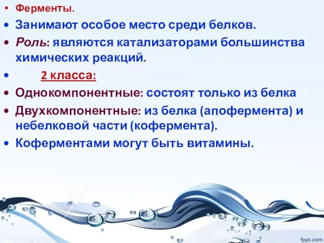 Ферменты. Занимают особое место среди белков. Роль: являются катализаторами большинства химических реакций.